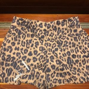 Leopard print Fringe Shorts